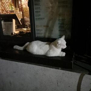 凯·帕克姨妈三部曲
